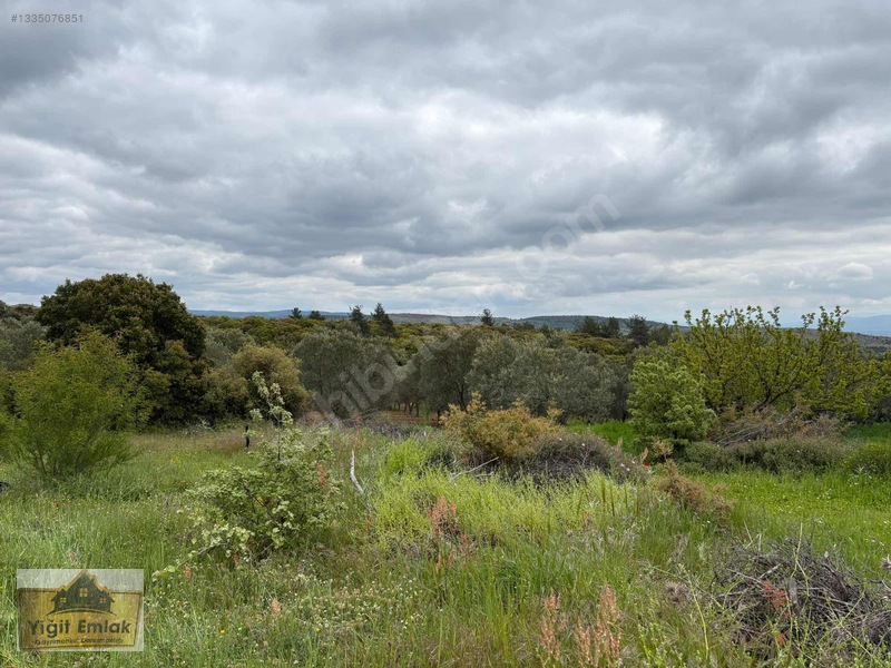 Karadağ Köyünde 600 M2 Tarla — fotoğraf 6