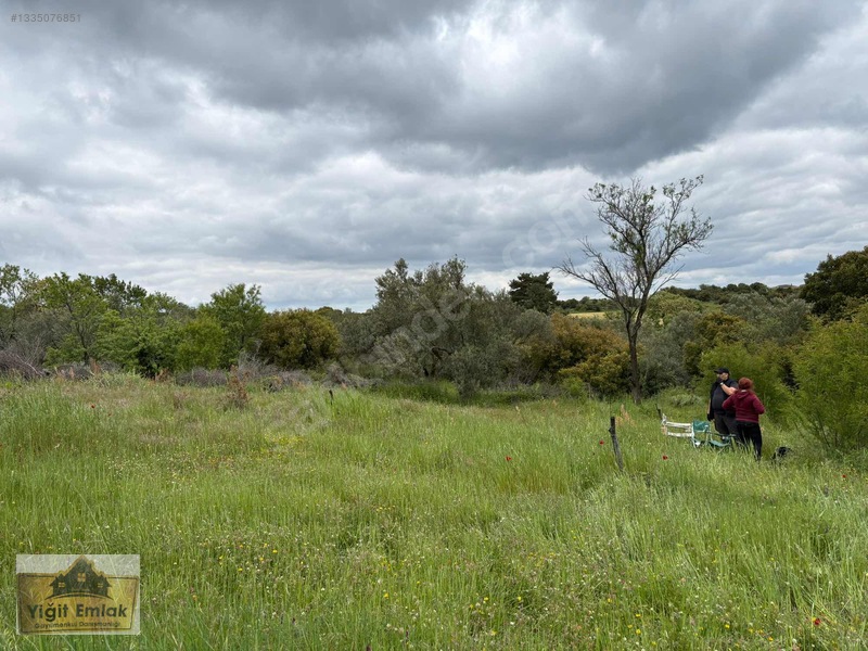 Karadağ Köyünde 600 M2 Tarla — fotoğraf 7
