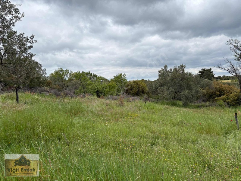 Karadağ Köyünde 600 M2 Tarla — fotoğraf 8