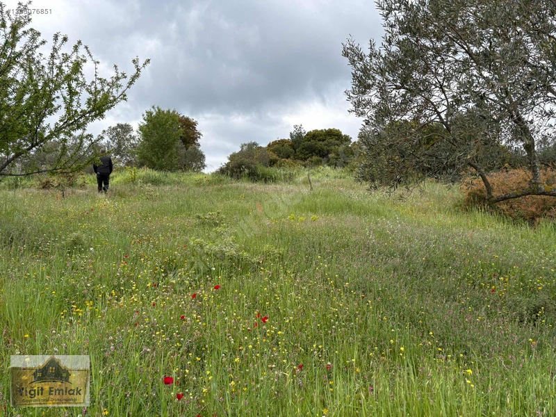Karadağ Köyünde 600 M2 Tarla — fotoğraf 9