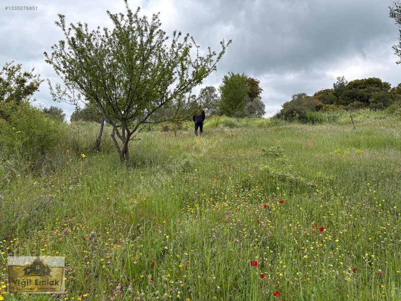 Karadağ Köyünde 600 M2 Tarla — fotoğraf 10