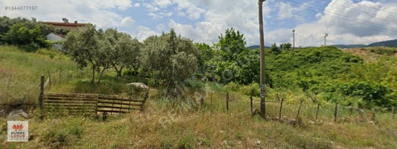Yalova Çınarcık Sahile Yakın Yatırımlık Arsa