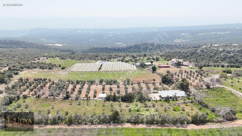 Esenpınar Ağlıca'da 5.575 M2 Satılık Zeytin Bahçesi — fotoğraf 6