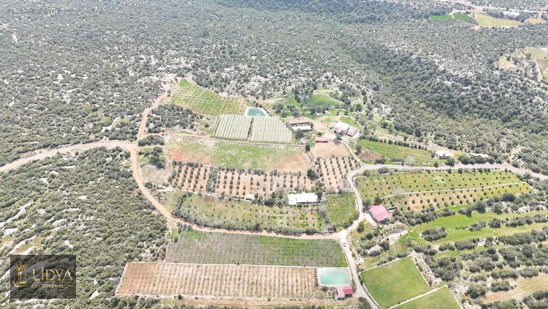 Esenpınar Ağlıca'da 5.575 M2 Satılık Zeytin Bahçesi — fotoğraf 7