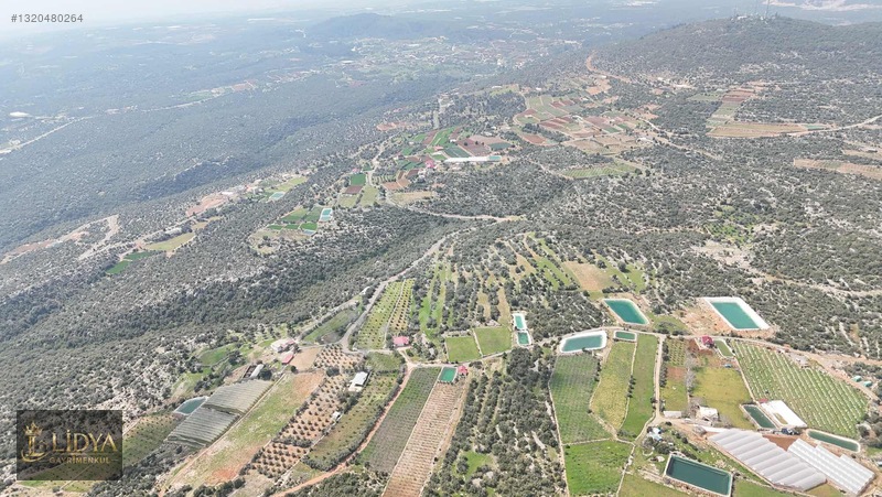 Esenpınar Ağlıca'da 5.575 M2 Satılık Zeytin Bahçesi — fotoğraf 8
