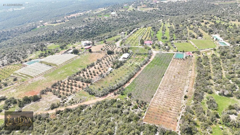 Esenpınar Ağlıca'da 5.575 M2 Satılık Zeytin Bahçesi — fotoğraf 9