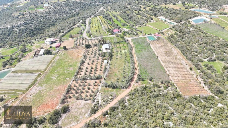 Esenpınar Ağlıca'da 5.575 M2 Satılık Zeytin Bahçesi — fotoğraf 10
