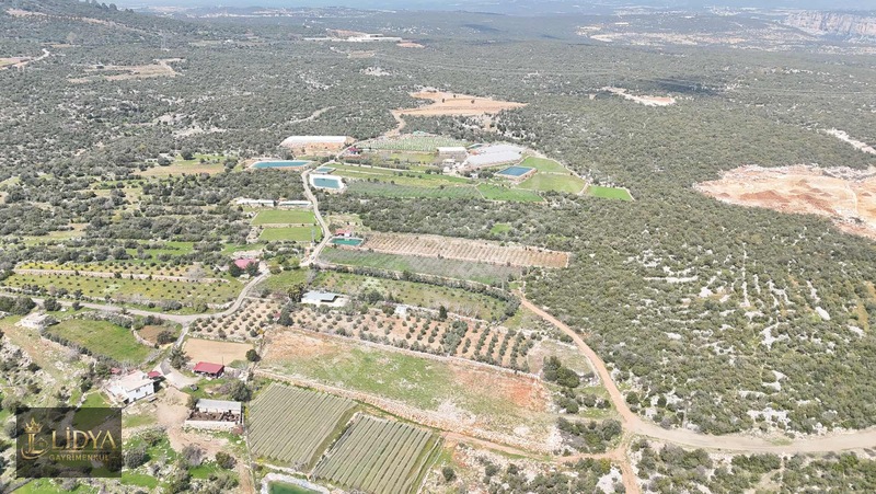 Esenpınar Ağlıca'da 5.575 M2 Satılık Zeytin Bahçesi — fotoğraf 11