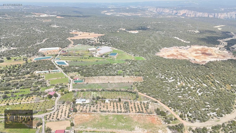 Esenpınar Ağlıca'da 5.575 M2 Satılık Zeytin Bahçesi — fotoğraf 12