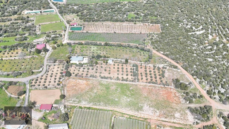 Esenpınar Ağlıca'da 5.575 M2 Satılık Zeytin Bahçesi — fotoğraf 13