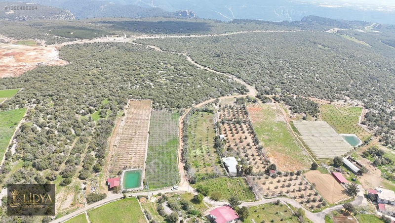 Esenpınar Ağlıca'da 5.575 M2 Satılık Zeytin Bahçesi — fotoğraf 14