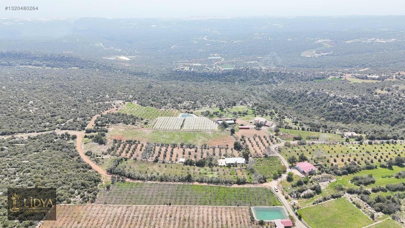 Esenpınar Ağlıca'da 5.575 M2 Satılık Zeytin Bahçesi — fotoğraf 15