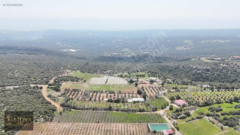 Esenpınar Ağlıca'da 5.575 M2 Satılık Zeytin Bahçesi — fotoğraf 16