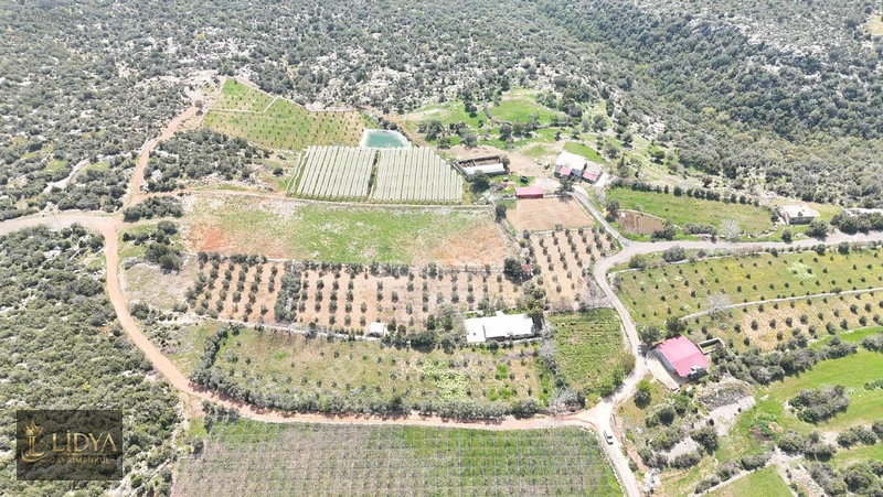 Esenpınar Ağlıca'da 5.575 M2 Satılık Zeytin Bahçesi — fotoğraf 17