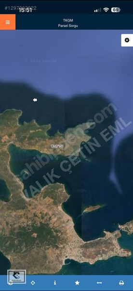 Ayvalık'ta Satılık 2139m² Zeytinlik - Denize Yakın — fotoğraf 5
