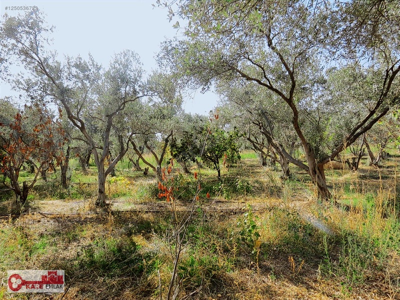Dağkızılca'da Müstakil Tapulu — fotoğraf 12