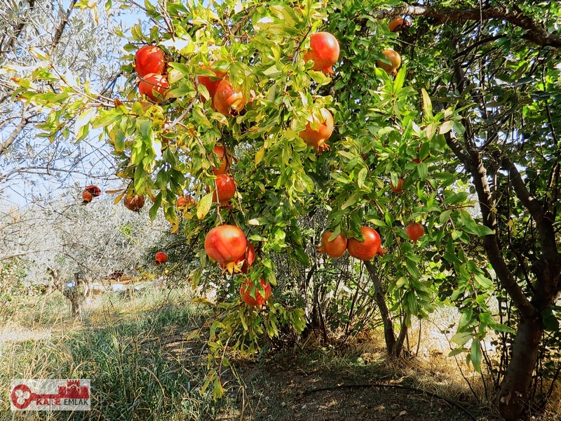 Dağkızılca'da Müstakil Tapulu — fotoğraf 13
