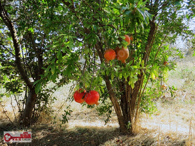 Dağkızılca'da Müstakil Tapulu — fotoğraf 14
