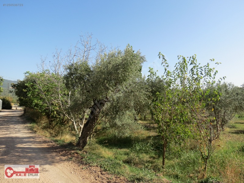 Dağkızılca'da Müstakil Tapulu — fotoğraf 25