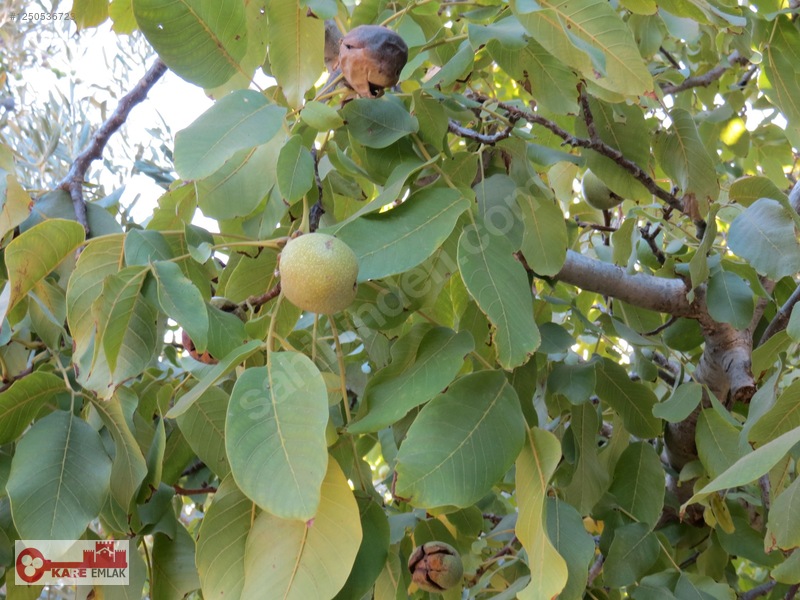 Dağkızılca'da Müstakil Tapulu — fotoğraf 31