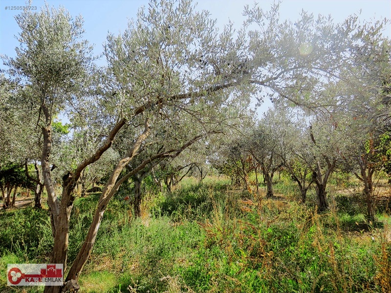 Dağkızılca'da Müstakil Tapulu — fotoğraf 35