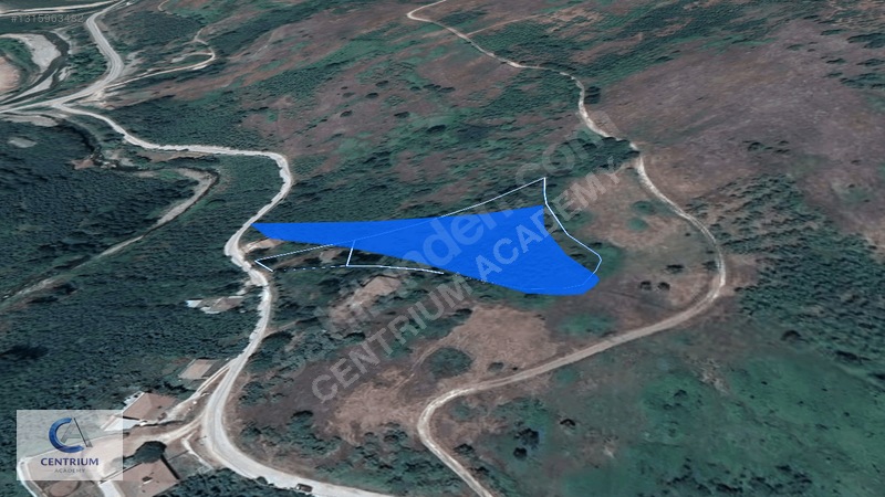 Düzce Yığılca'da 4 Dönüm Arazi + Ev + 150 Ağaç | Fırsat! — fotoğraf 4