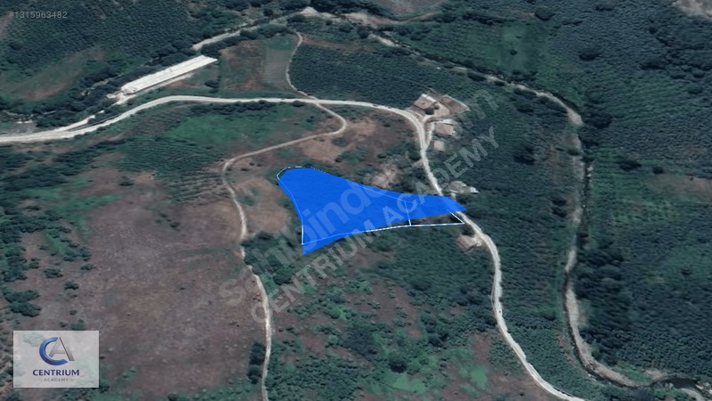 Düzce Yığılca'da 4 Dönüm Arazi + Ev + 150 Ağaç | Fırsat! — fotoğraf 6