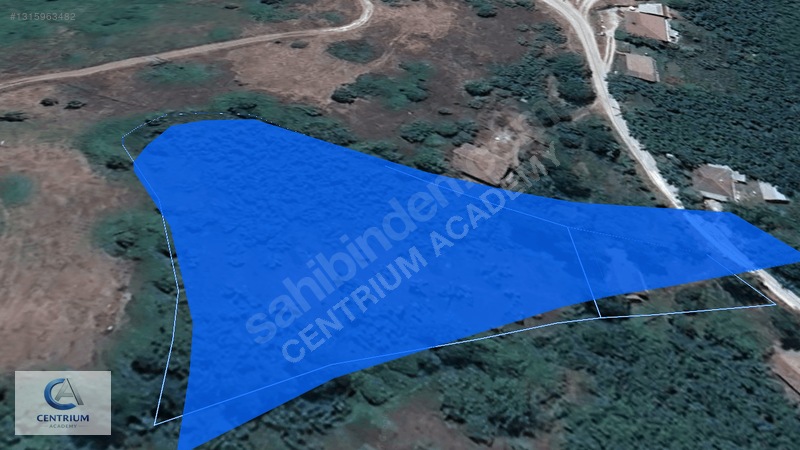 Düzce Yığılca'da 4 Dönüm Arazi + Ev + 150 Ağaç | Fırsat! — fotoğraf 7