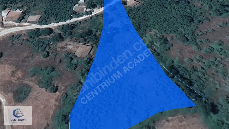 Düzce Yığılca'da 4 Dönüm Arazi + Ev + 150 Ağaç | Fırsat! — fotoğraf 8