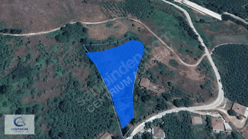 Düzce Yığılca'da 4 Dönüm Arazi + Ev + 150 Ağaç | Fırsat! — fotoğraf 11