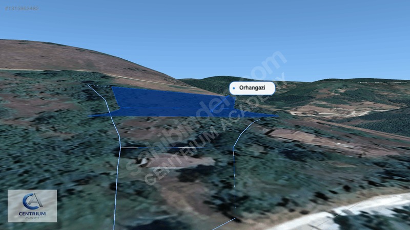 Düzce Yığılca'da 4 Dönüm Arazi + Ev + 150 Ağaç | Fırsat! — fotoğraf 12