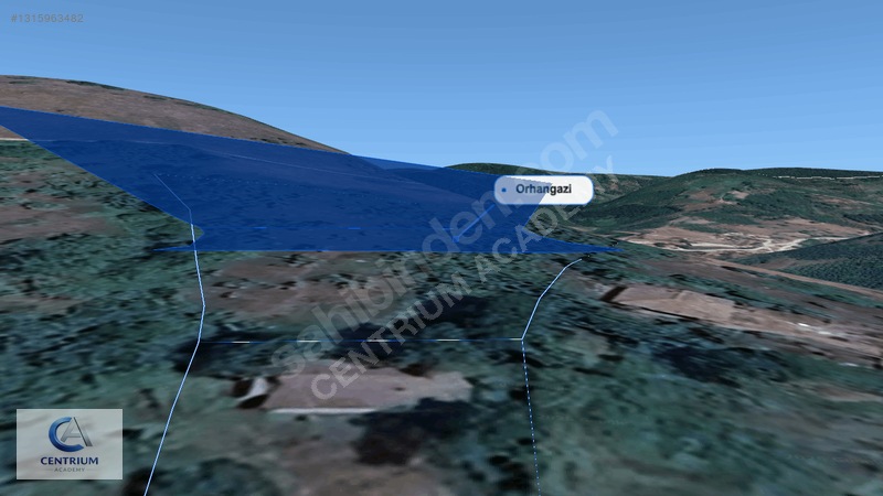 Düzce Yığılca'da 4 Dönüm Arazi + Ev + 150 Ağaç | Fırsat! — fotoğraf 13