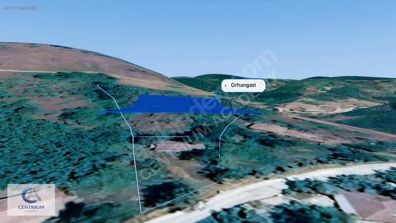 Düzce Yığılca'da 4 Dönüm Arazi + Ev + 150 Ağaç | Fırsat! — fotoğraf 14