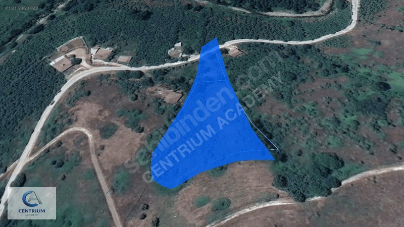 Düzce Yığılca'da 4 Dönüm Arazi + Ev + 150 Ağaç | Fırsat! — fotoğraf 15