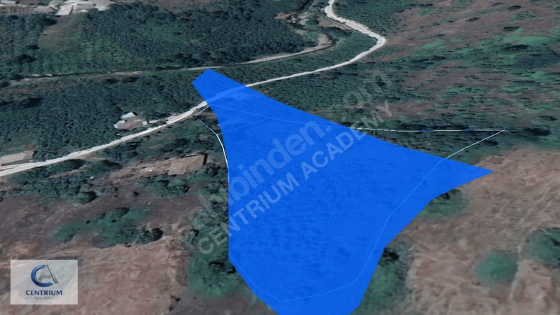 Düzce Yığılca'da 4 Dönüm Arazi + Ev + 150 Ağaç | Fırsat! — fotoğraf 16