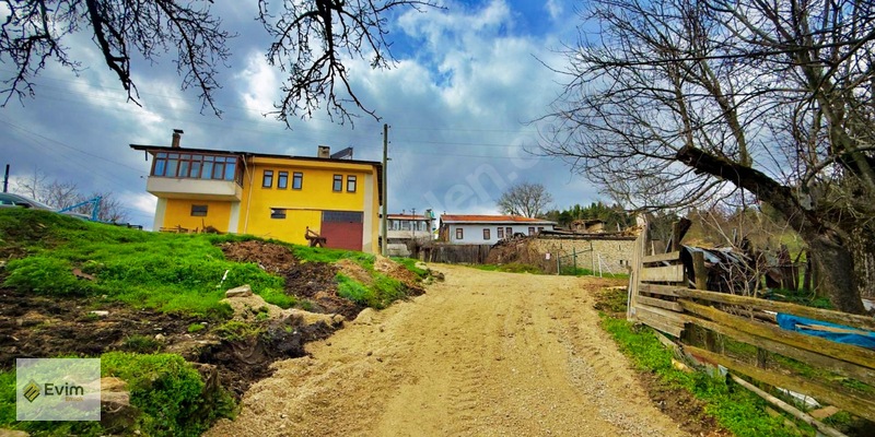 Ağaçkese' De Meyve Bahçesi !!! — fotoğraf 3
