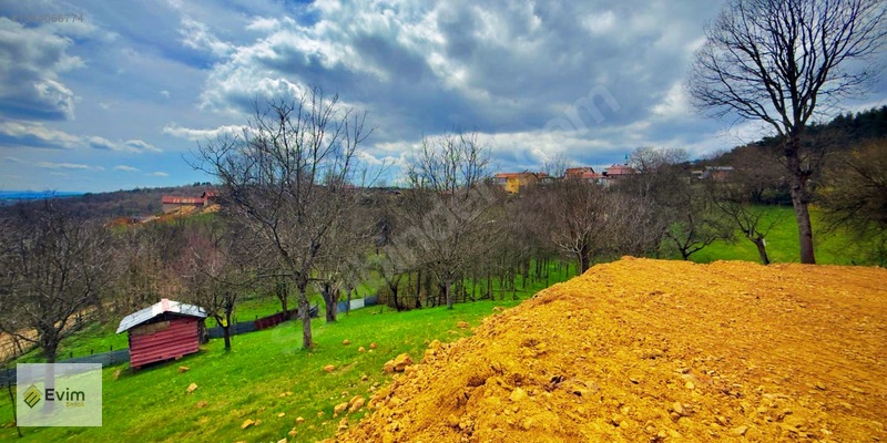 Ağaçkese' De Meyve Bahçesi !!! — fotoğraf 5