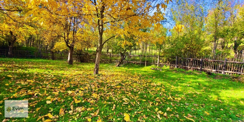 Ağaçkese' De Meyve Bahçesi !!! — fotoğraf 6