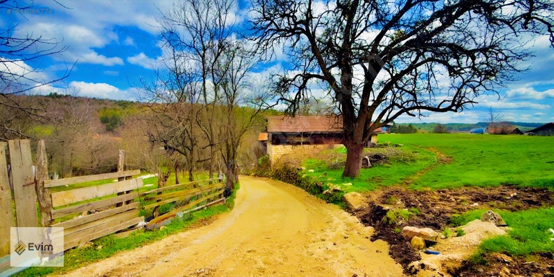 Ağaçkese' De Meyve Bahçesi !!! — fotoğraf 8