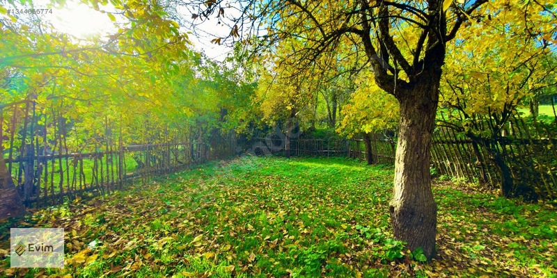 Ağaçkese' De Meyve Bahçesi !!! — fotoğraf 10