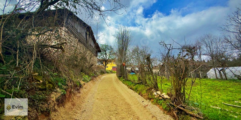 Ağaçkese' De Meyve Bahçesi !!! — fotoğraf 11