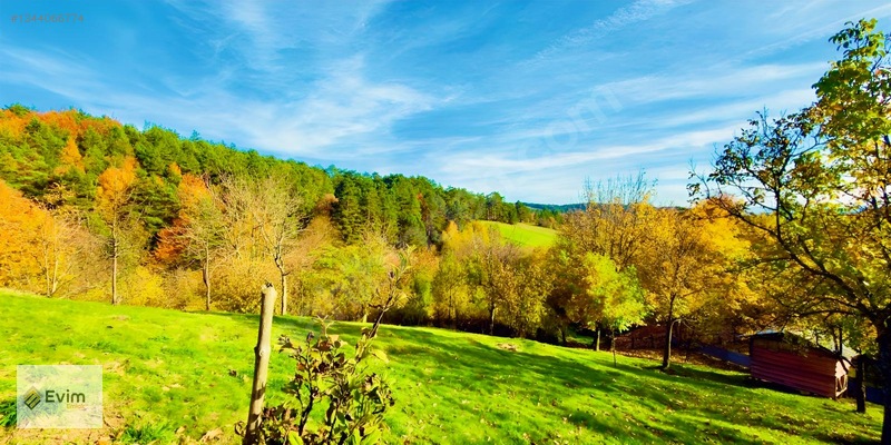 Ağaçkese' De Meyve Bahçesi !!! — fotoğraf 12