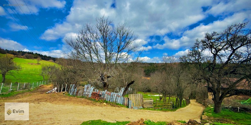 Ağaçkese' De Meyve Bahçesi !!! — fotoğraf 13