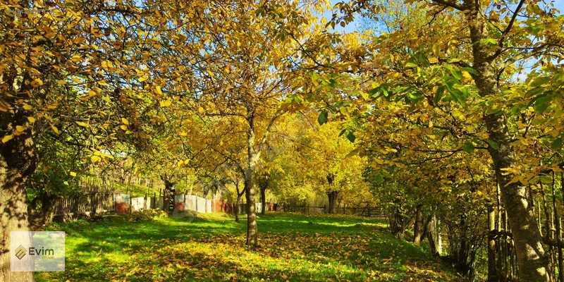 Ağaçkese' De Meyve Bahçesi !!! — fotoğraf 16