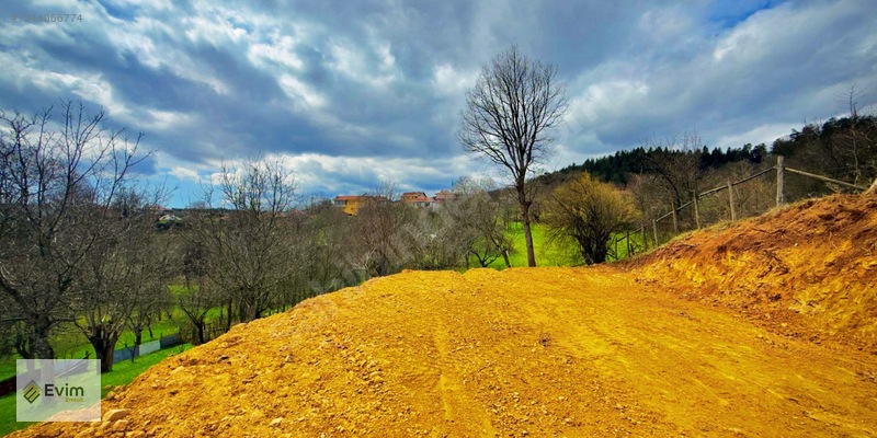 Ağaçkese' De Meyve Bahçesi !!! — fotoğraf 17