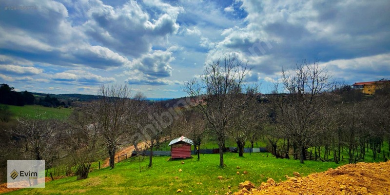 Ağaçkese' De Meyve Bahçesi !!! — fotoğraf 19