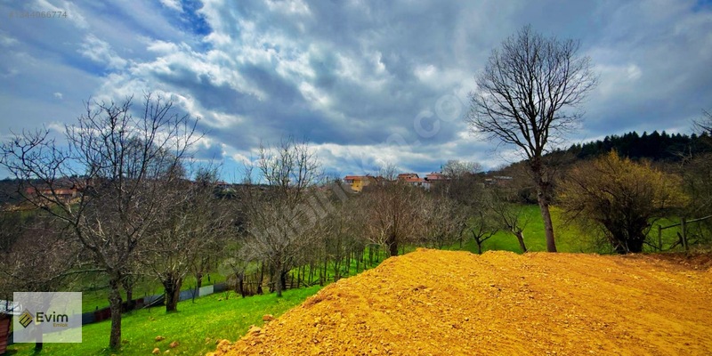 Ağaçkese' De Meyve Bahçesi !!! — fotoğraf 20