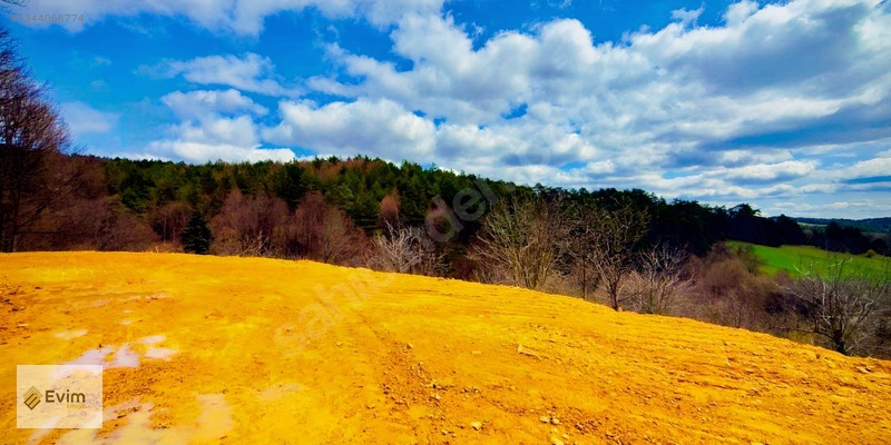 Ağaçkese' De Meyve Bahçesi !!! — fotoğraf 22