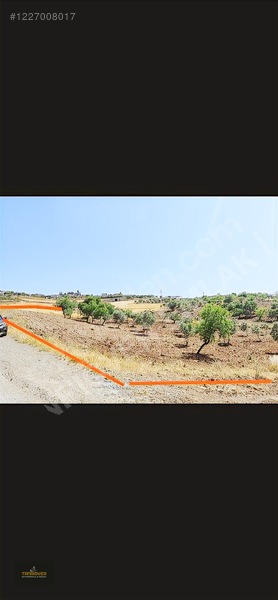 Sırasöğütte Bağevlik Yatırımlık Arazi — fotoğraf 3