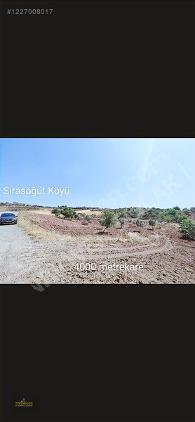 Sırasöğütte Bağevlik Yatırımlık Arazi — fotoğraf 4